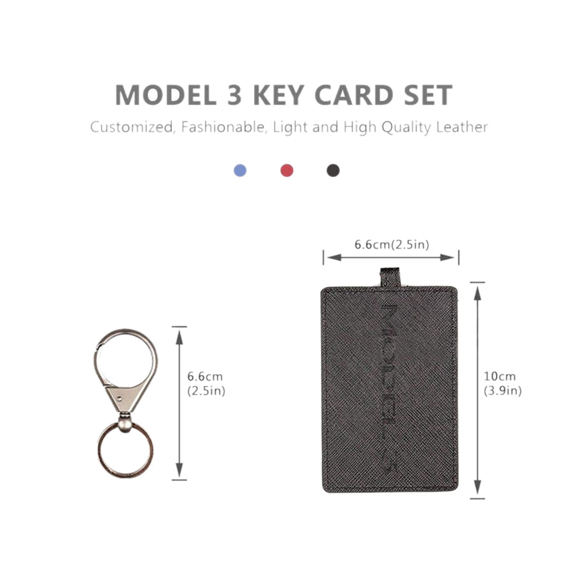 Special Tesla Key Case