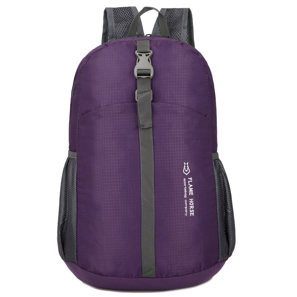 Nylon waterproof folding storage travel bag