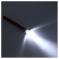 Telescopic torch