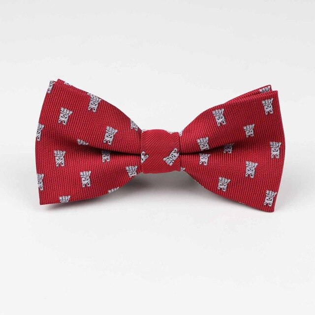 Children&#39;s bow tie