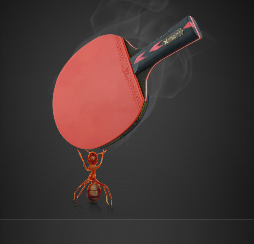 Hui sheng five star table tennis bat