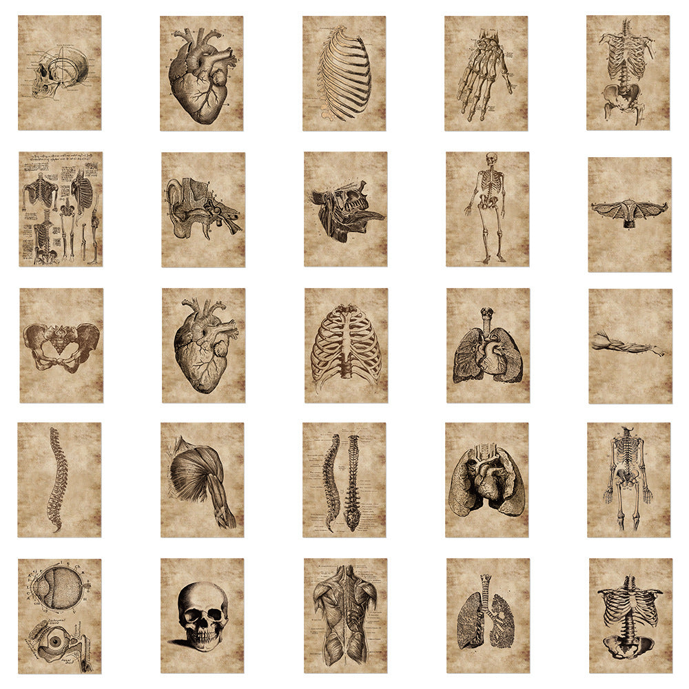 56 Anatomy Human Skeleton Sticker Notebook