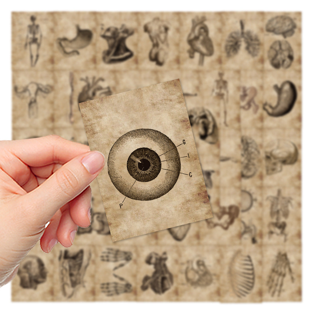 56 Anatomy Human Skeleton Sticker Notebook