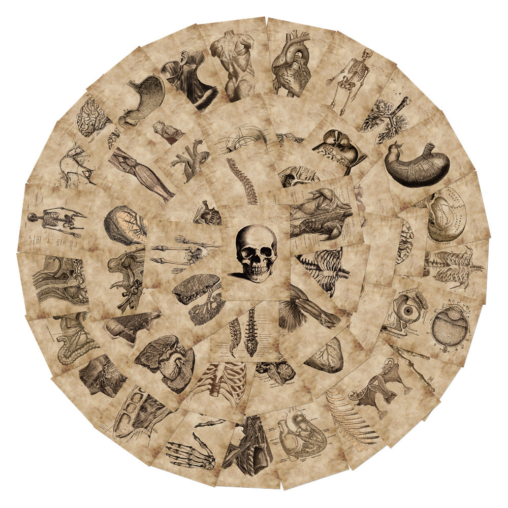 56 Anatomy Human Skeleton Sticker Notebook
