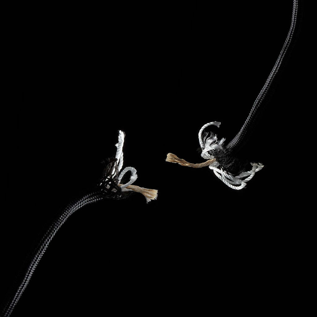 Wolf And Grizzly Fire Set