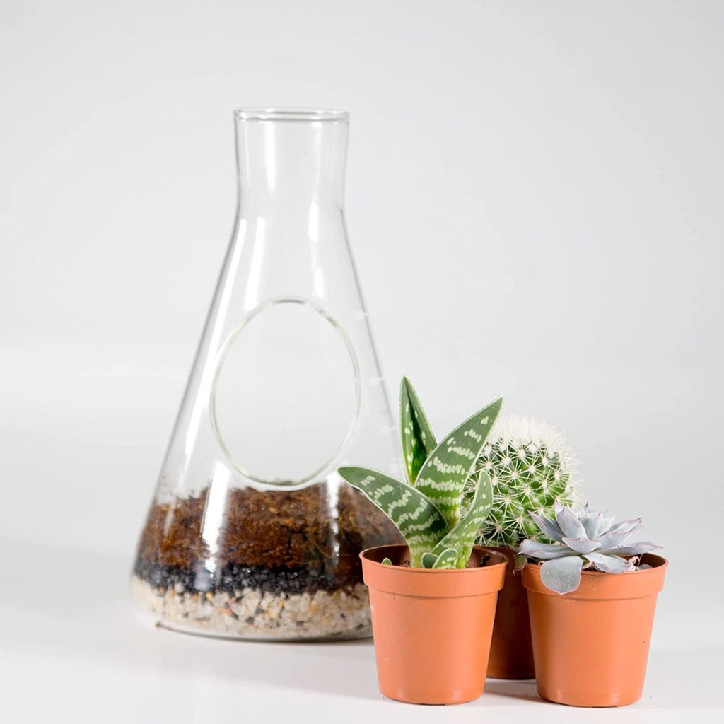 Terrarium Chemistry Set | Chemistry Flask Terrarium Kit for Indoor Plants