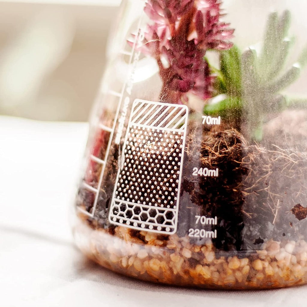 Terrarium Chemistry Set | Chemistry Flask Terrarium Kit for Indoor Plants