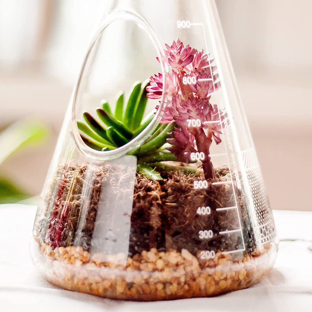 Terrarium Chemistry Set | Chemistry Flask Terrarium Kit for Indoor Plants