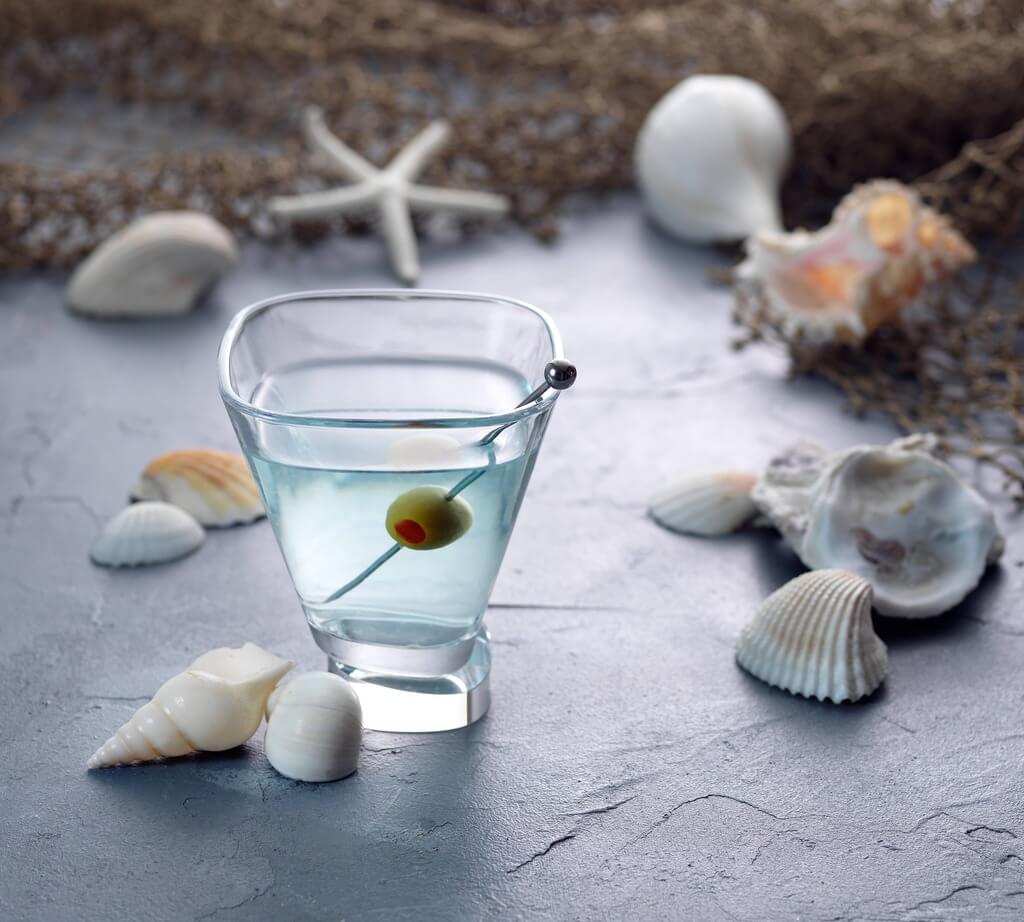 Aqua Vitae Square Martini Glasses, Set of 2 - The Gifted Man