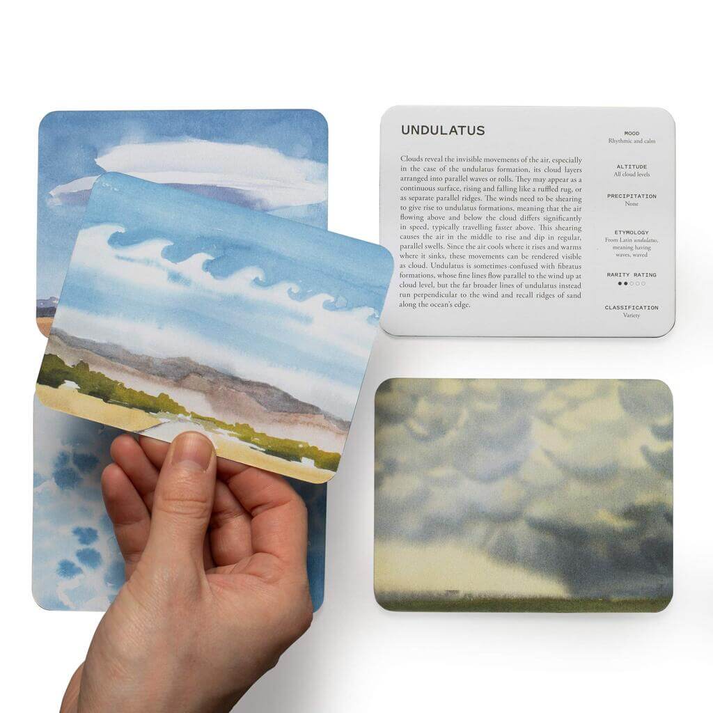 Cloud Spotter - The Gifted Man