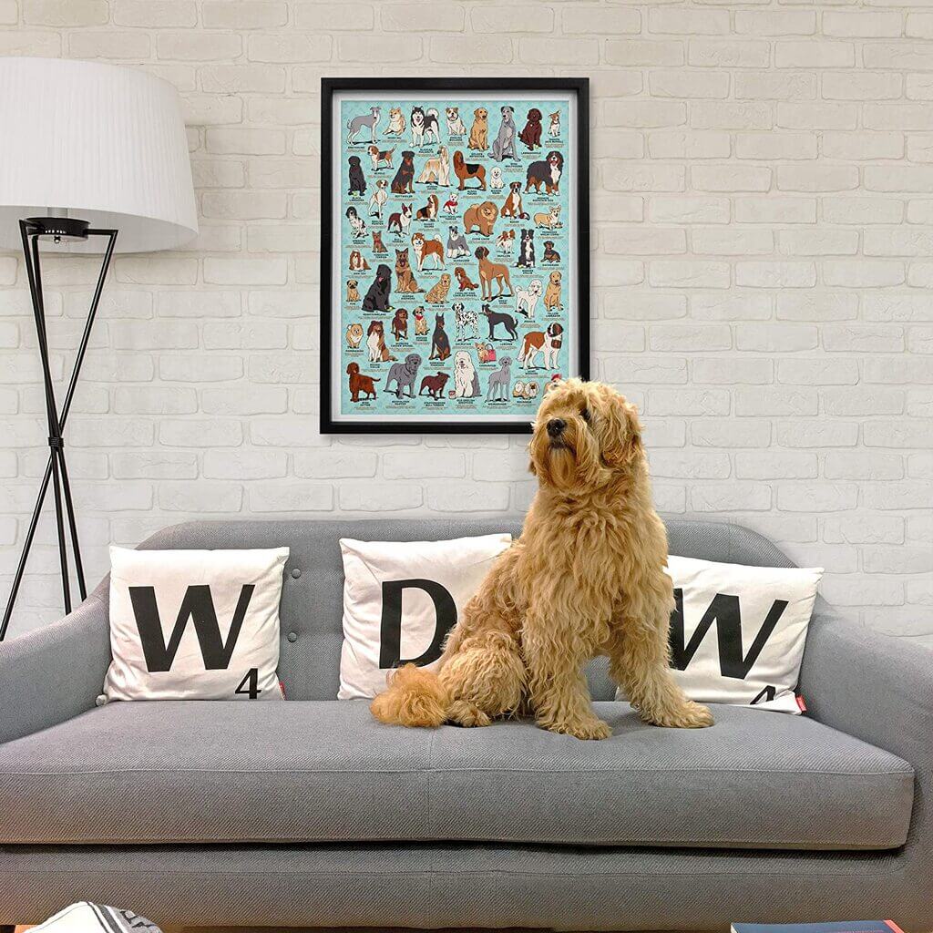 Dog Lover&#39;s 1000 Piece Jigsaw Puzzle - The Gifted Man