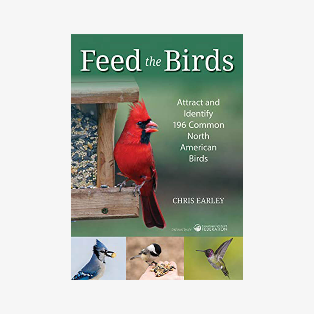 Feed The Birds - The Gifted Man