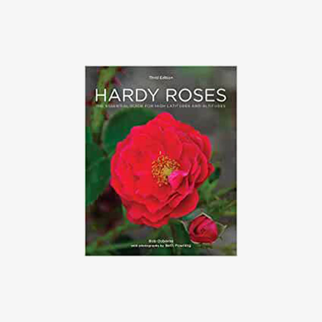 Hardy Roses: The Essential Guide for High Latitudes and Altitudes - The ...